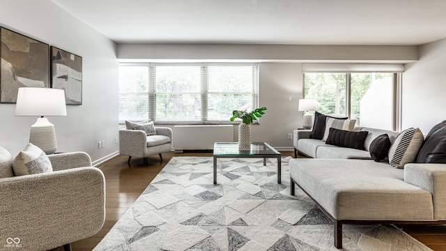 living room with hardwood / wood-style floors