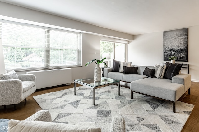 living room with hardwood / wood-style floors and radiator