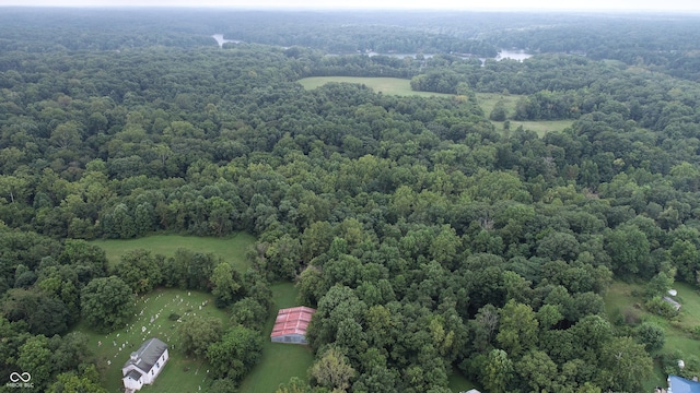 4463 W 700 S, Trafalgar, IN 46181 - birds eye view of property featuring a forest view
