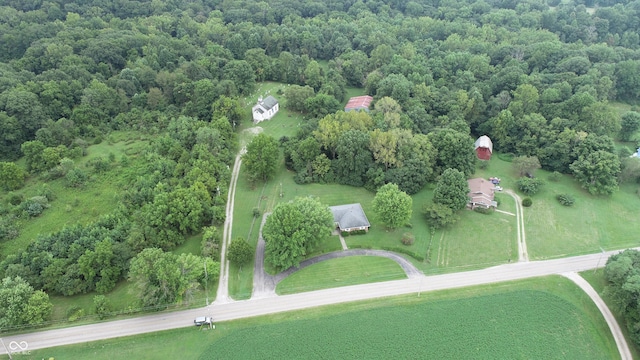 4463 W 700 S, Trafalgar, IN 46181 - aerial view with a view of trees