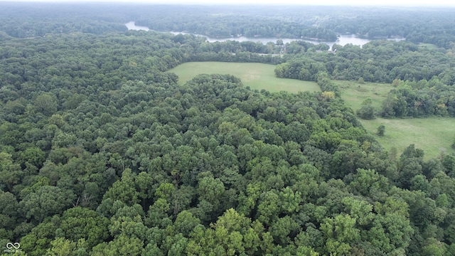 4463 W 700 S, Trafalgar, IN 46181 - aerial view featuring a wooded view and a water view