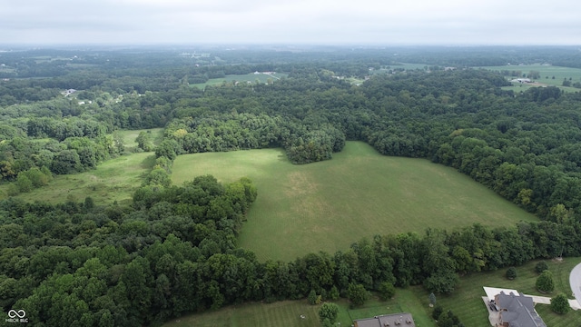 4463 W 700 S, Trafalgar, IN 46181 - aerial view featuring a view of trees