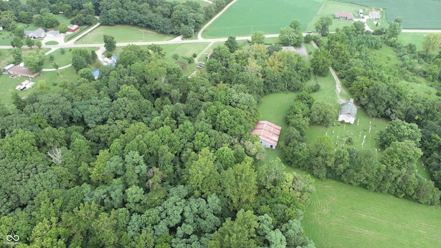 4463 W 700 S, Trafalgar, IN 46181 - birds eye view of property
