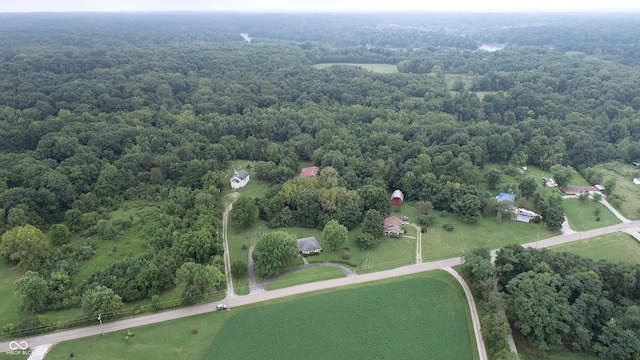 4463 W 700 S, Trafalgar, IN 46181 - aerial view with a view of trees