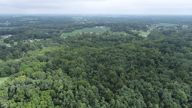 4463 W 700 S, Trafalgar, IN 46181 - drone / aerial view featuring a view of trees