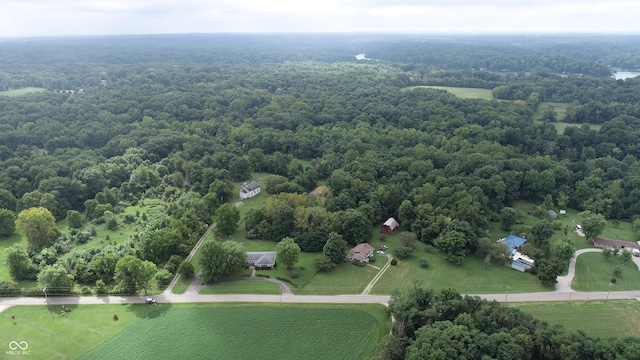 4463 W 700 S, Trafalgar, IN 46181 - bird's eye view featuring a forest view