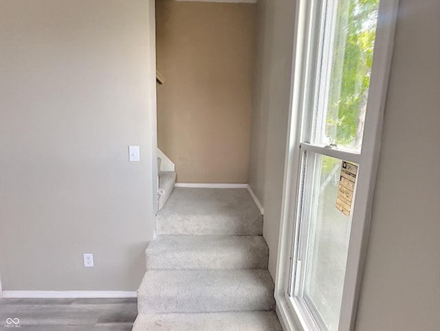 staircase with hardwood / wood-style flooring