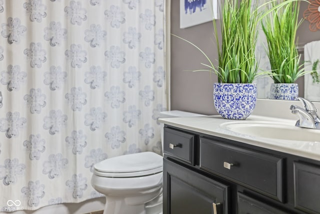 bathroom featuring vanity, toilet, and a shower with shower curtain