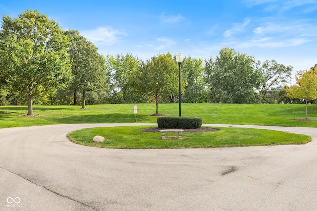 view of community featuring a yard