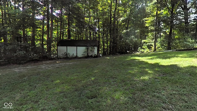 view of yard featuring a storage shed