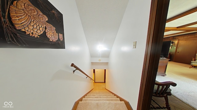 stairs featuring carpet flooring