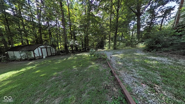 view of yard with a storage unit