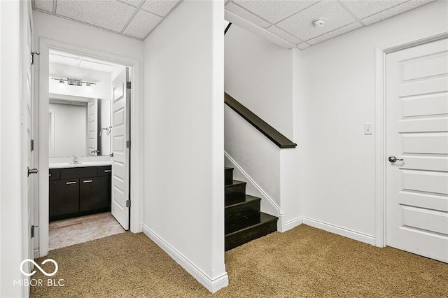 stairway with a drop ceiling, carpet flooring, and sink