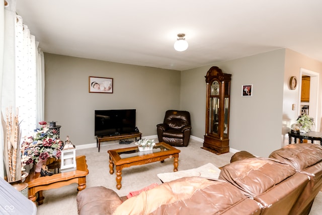 living room with light carpet