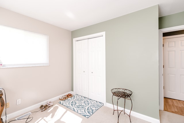 bedroom featuring wood-type flooring and a closet