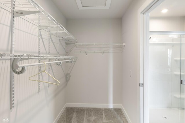 walk in closet with carpet floors