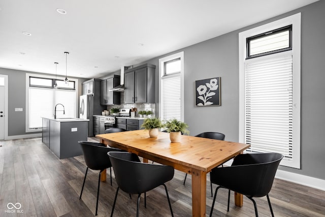 dining area featuring sink and dark hardwood / wood-style floors