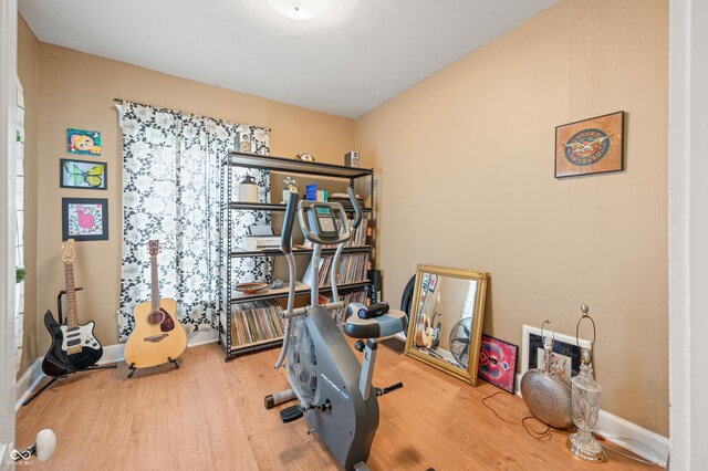 workout room featuring light hardwood / wood-style flooring