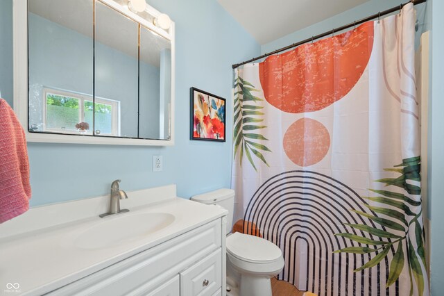 bathroom with toilet and vanity