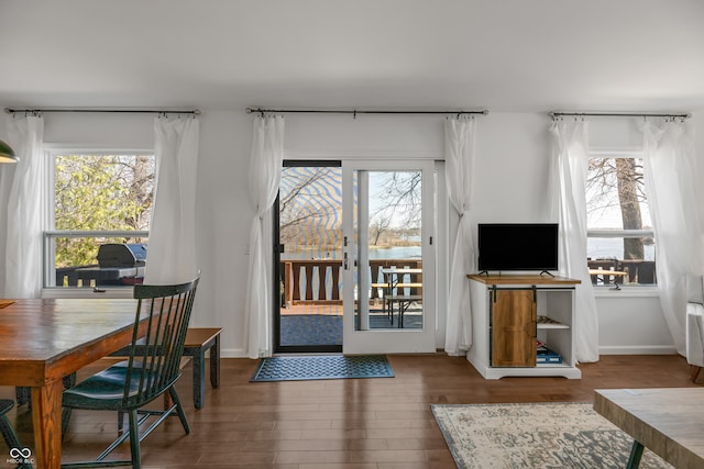 living room featuring hardwood / wood-style floors