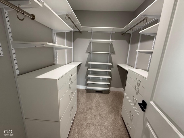 3380 N Pine Song Dr, Martinsville, IN 46151 - spacious closet with carpet floors