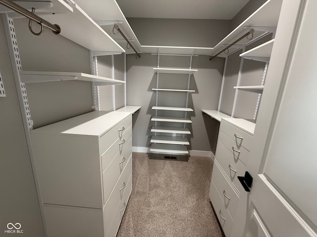 spacious closet featuring carpet floors