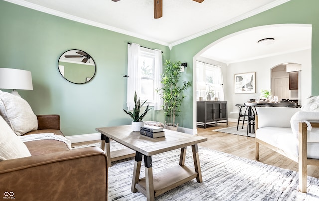 living room with ceiling fan, crown molding, and light hardwood / wood-style floors