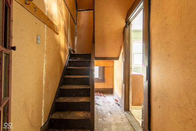 staircase with wood-type flooring