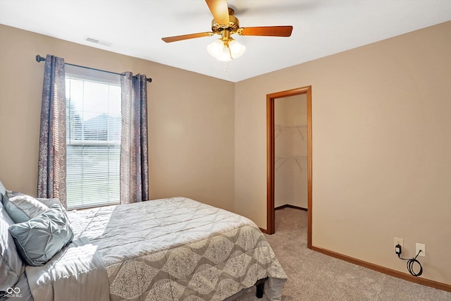 carpeted bedroom featuring a walk in closet, ceiling fan, and a closet