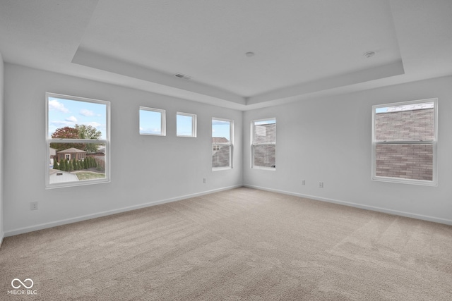 carpeted spare room featuring a raised ceiling