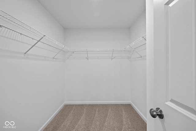 walk in closet with carpet