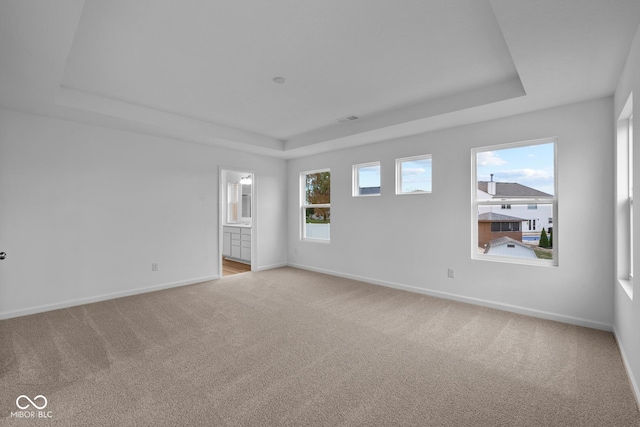 spare room with light carpet, a wealth of natural light, and a tray ceiling