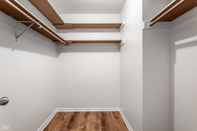 spacious closet featuring wood finished floors