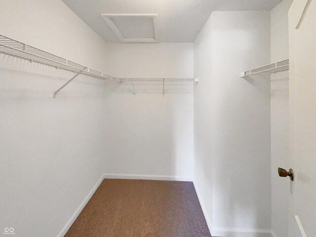 walk in closet featuring carpet flooring