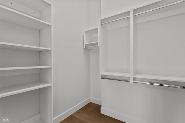 spacious closet with dark wood-type flooring