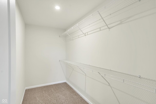 walk in closet with carpet floors