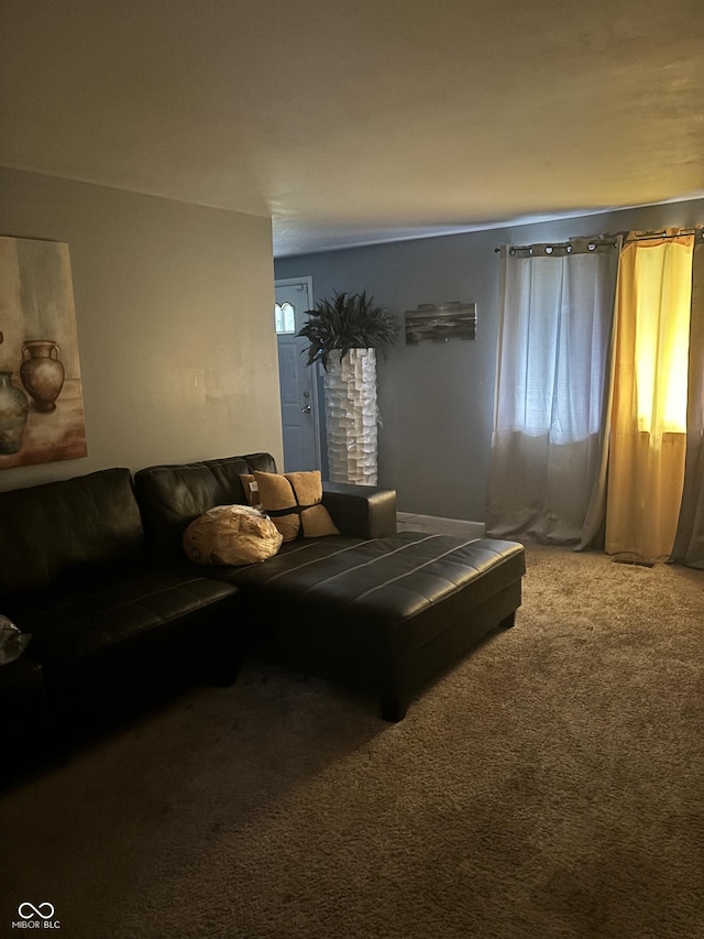 9145 Shenandoah Dr, Indianapolis, IN 46229 - living room with carpet