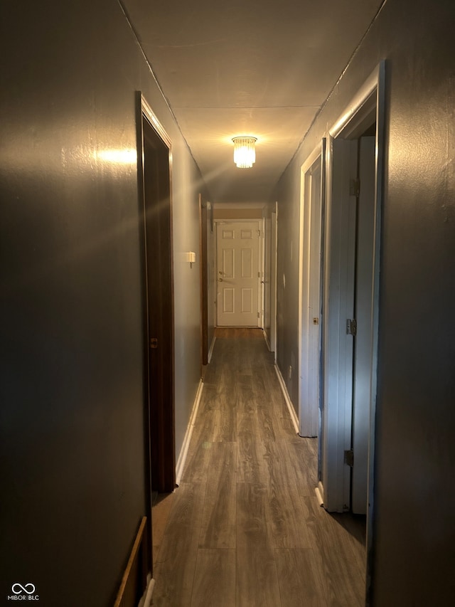 hallway with hardwood / wood-style floors