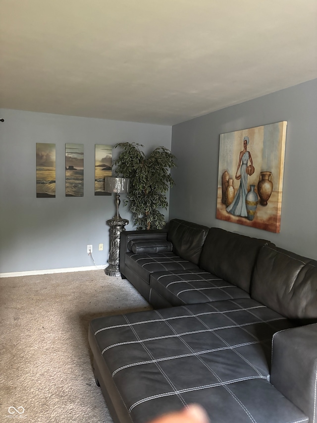 living room featuring dark carpet