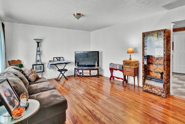 living room featuring hardwood / wood-style flooring