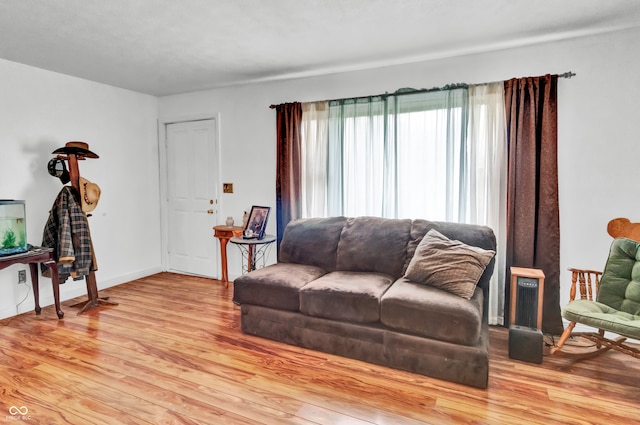 living room featuring light hardwood / wood-style flooring