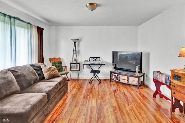 living room with light wood-type flooring