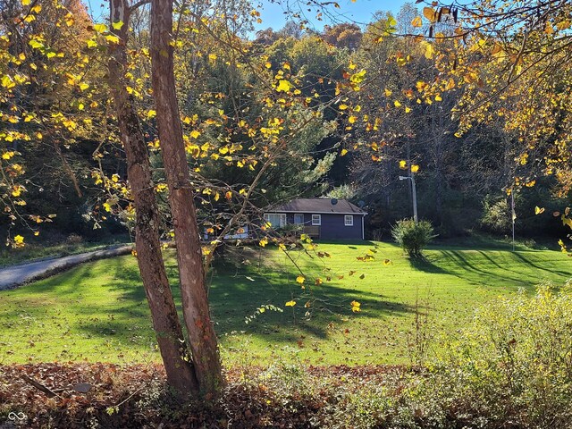 6979 Rinnie Seitz Rd, Nashville, IN 47448 - photo 49