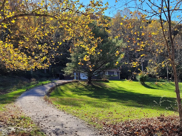 view of home's community featuring a lawn