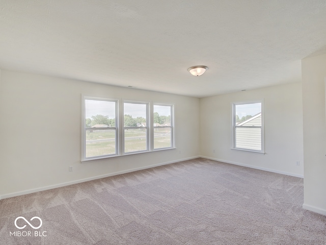 unfurnished room with a healthy amount of sunlight and light carpet