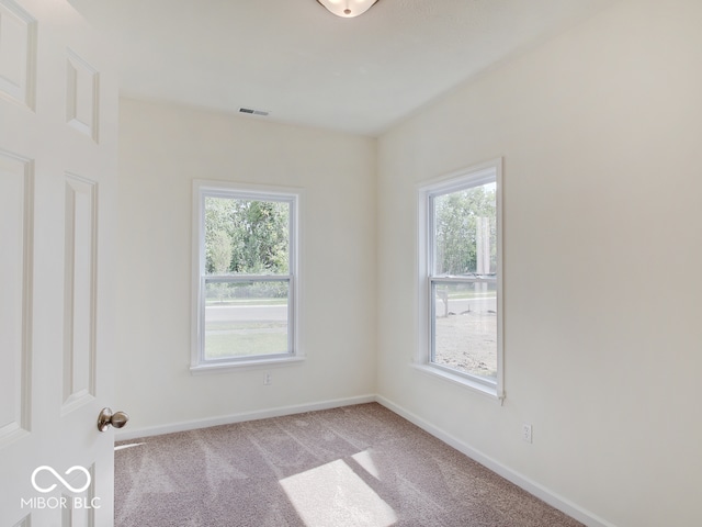 carpeted empty room with a healthy amount of sunlight