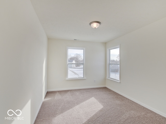 empty room featuring a textured ceiling, baseboards, a wealth of natural light, and light colored carpet