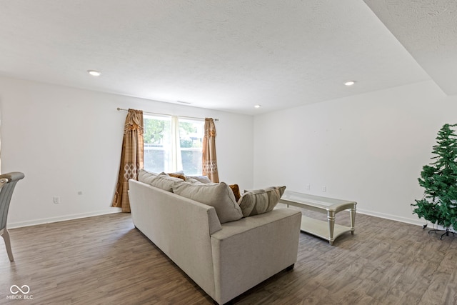 living room featuring wood-type flooring and a textured ceiling