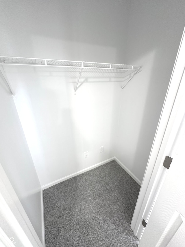 walk in closet featuring carpet floors