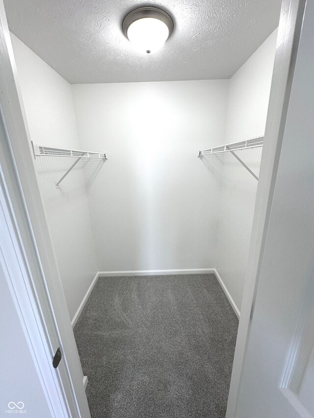 spacious closet with carpet